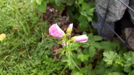 20170906_190134.2.webp
