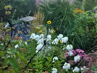 DSCF0156 (2).webp