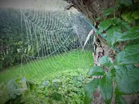 DSCF0158 (2).webp
