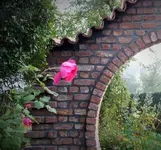 DSCF0169 (3).webp