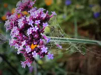 DSCF0171 (2).webp