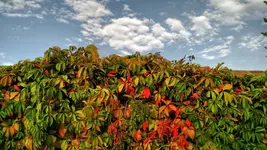IMG_20170915_170334889.webp