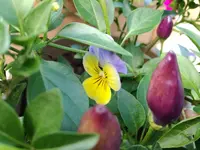 IMG_20170917_143230.webp
