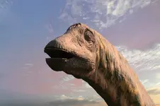 F068.webp