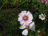 IMG_5769.webp