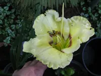 004_1024x768.JPG