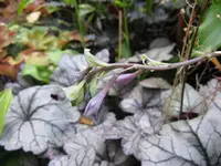 013_1024x768.webp