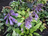 016_1024x768.webp