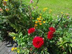 DSC02328.jpg