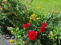 DSC02328.webp
