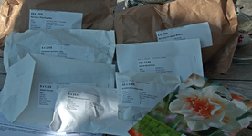 Herbstbestellung Blumenzwiebeln_900.webp