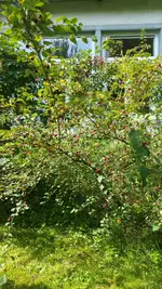 2017-09-19 11.20.39.jpg
