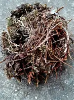 20170917_165824.webp
