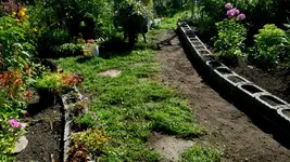 20170802_163351.jpg
