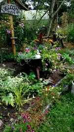 20170917_155605.webp