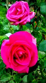 20170917_155543-001.webp