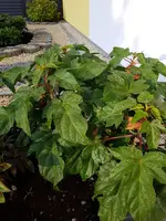 20170920_083121.webp