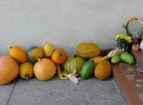 P1010661.webp