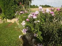 DSC02222.webp