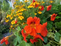 DSCF0183 (2).webp