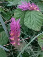 IMG_20160713_172753.webp