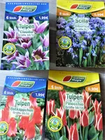 P1020524.webp P1020524.webp