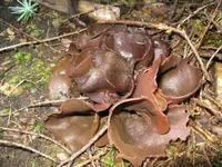 010_1024x768.webp