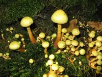 016_1024x768.JPG