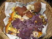 023_1024x768.webp