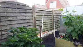 IMG-20170921-WA0008.webp