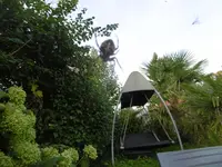 P1020018spinne.webp