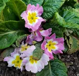 20170921_173154.webp