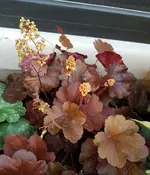 20170921_173340.jpg