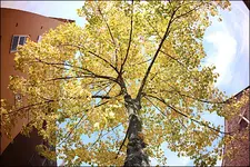 Bildtest (6).webp
