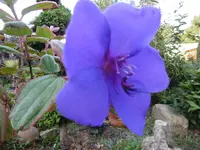 P1020023.webp