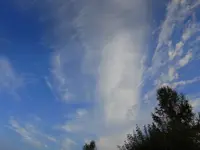 024.webp