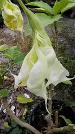 IMG_20170922_160331.webp
