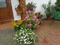 DSC02351.jpg
