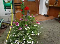 DSC02353.webp