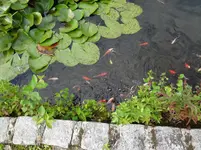 DSC02368.webp