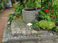 DSC02354.webp