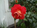 DSC02374.JPG