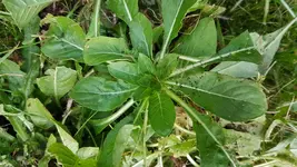 20170923_190706.webp