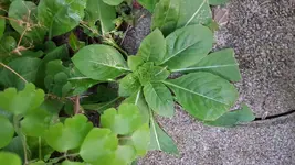 20170923_190702.webp