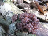 002_1024x768.webp