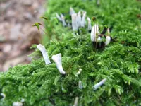 006_1024x768.JPG