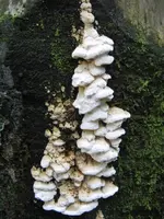 007_576x768.JPG