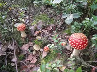 011_1024x768.webp