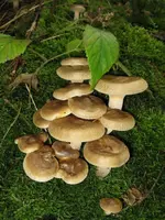 012_576x768.JPG