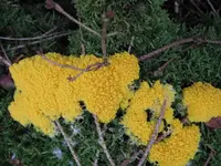 014_1024x768.webp